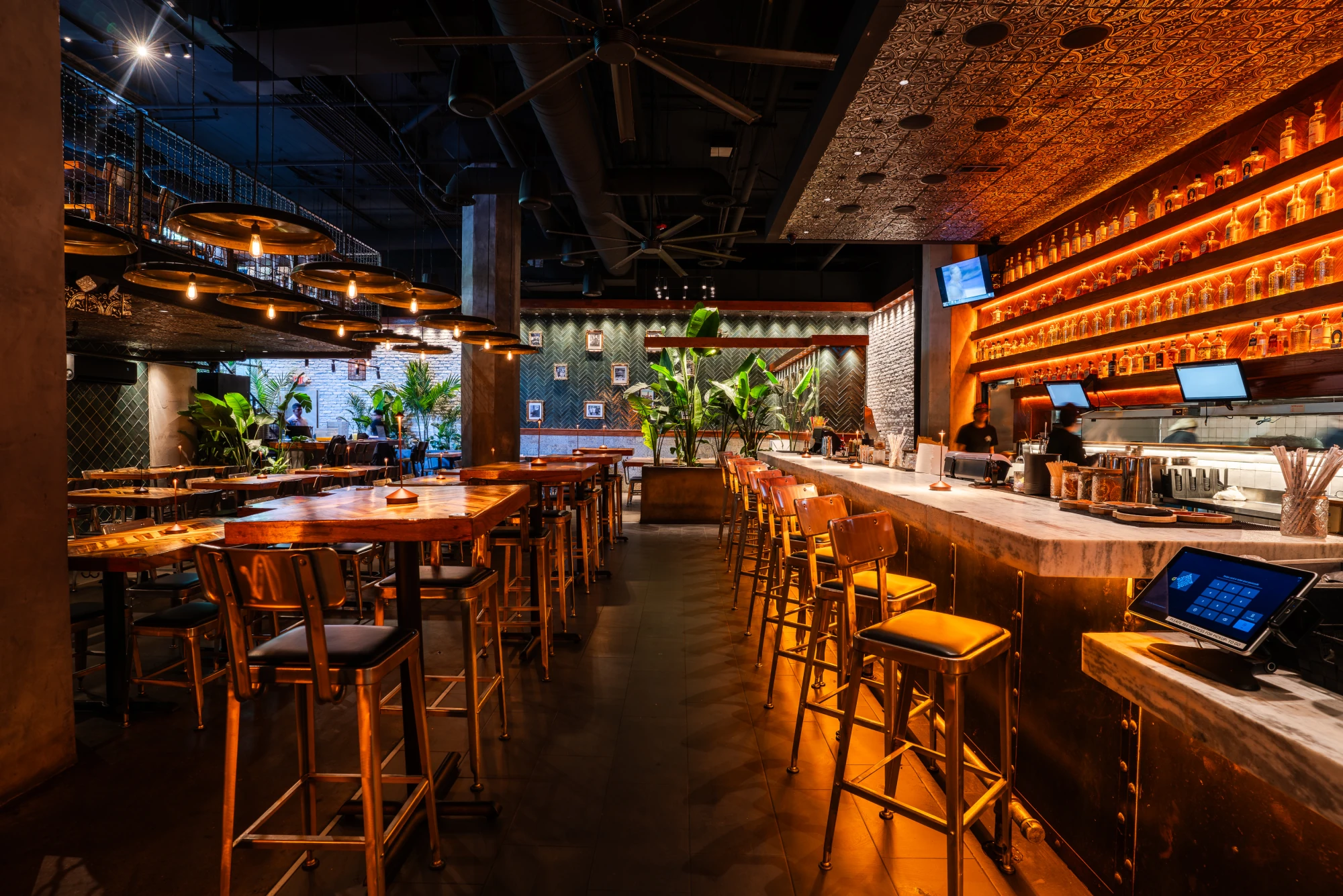 The bar and dining room at Rreal Tacos, amber-lit shelves of tequila over a marble counter